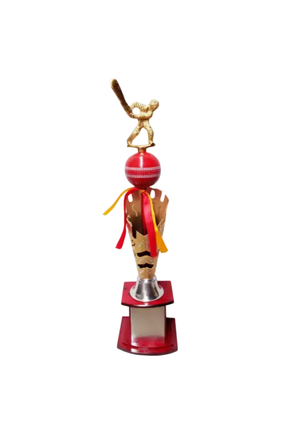 Cricket bat