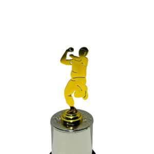 Cricket Bowling Trophy