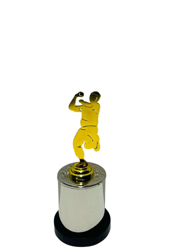 Cricket Bowling Trophy