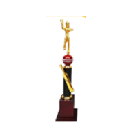 Wicket Taker Trophy