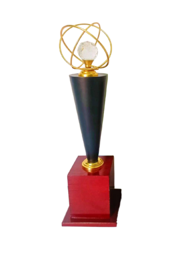 Best Salesman Award - Image 4