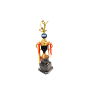 Basketball Champion Trophy – AMX-4-160