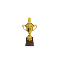 Academic Excellence Trophy