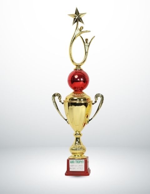 amx awards