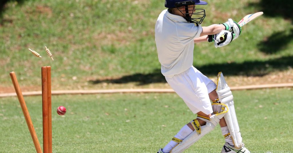 Best Cricket Cup Trophy Wholesalers in Tamil Nadu (2025 Buyer's Guide)