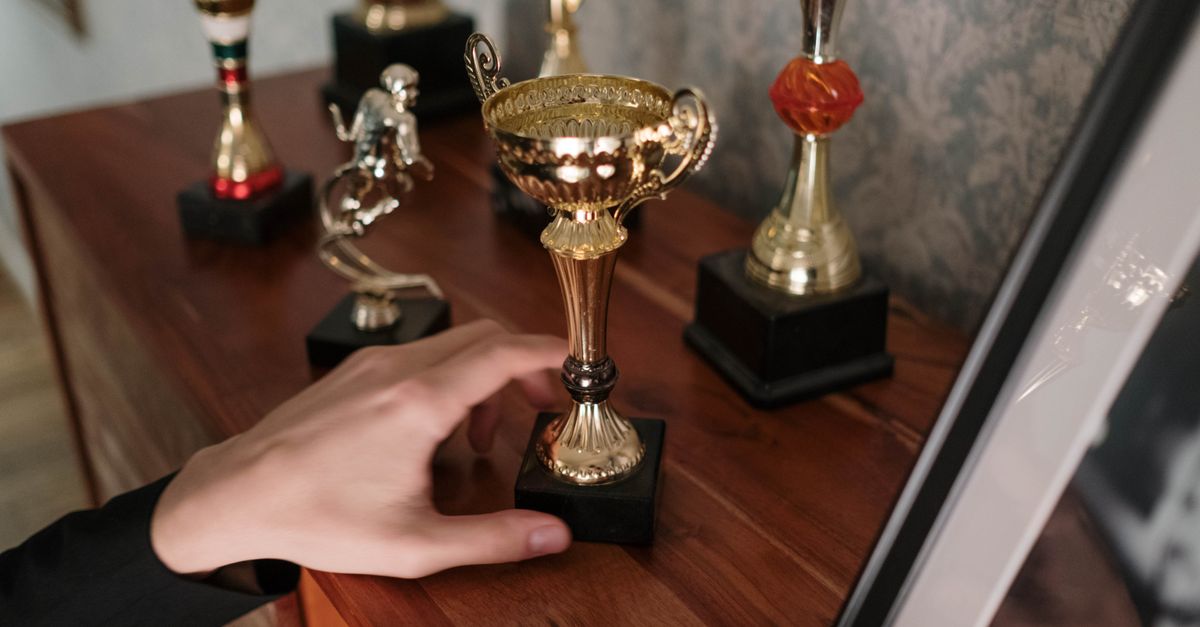 Fiber Trophies Wholesale in Tamil Nadu